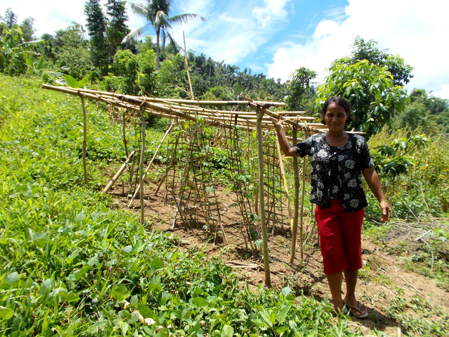 150811-06_Elena Villaruel_Garden_2