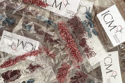 ICM delivers over 100 million seeds to the ultra-poor to encourage them to grow their own food during the COVID-19 pandemic