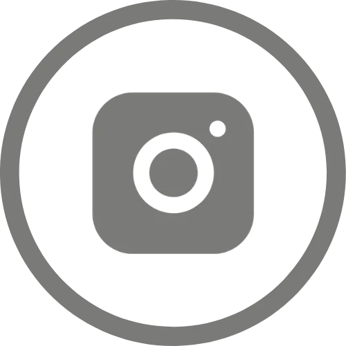 insta icon