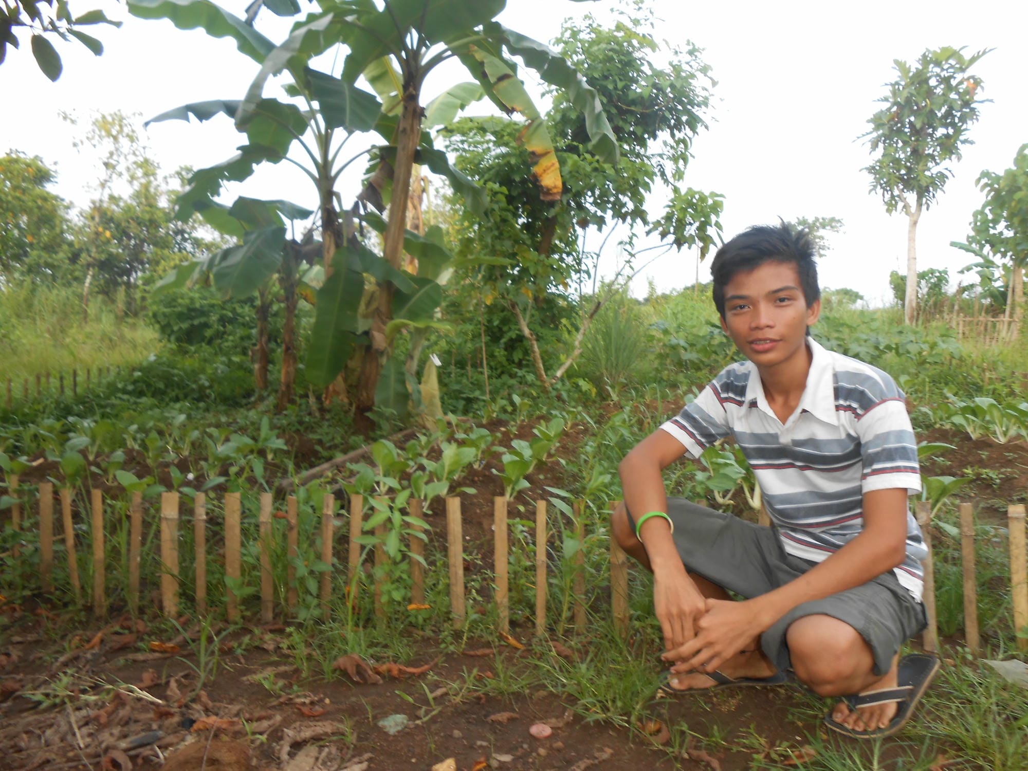 tf20149110_john-paul-paraliza1