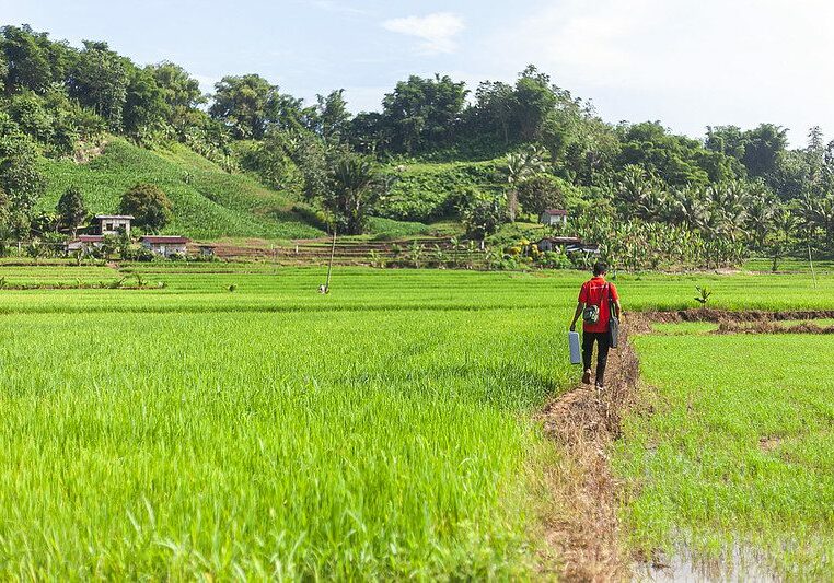 53115368850_457c7caf95_c