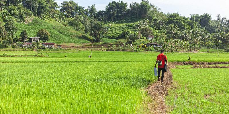 53115368850_457c7caf95_c