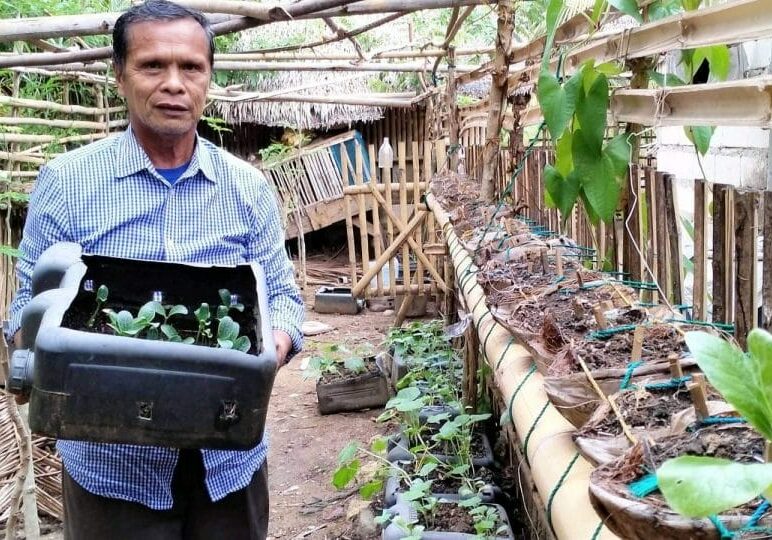 BOH_Seeds_Ptr.-Demetrio-3