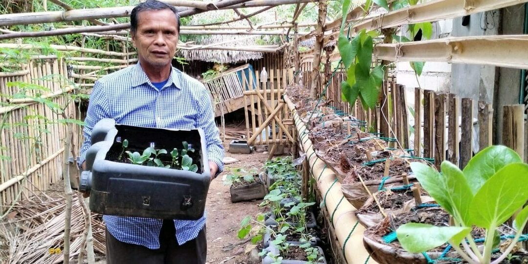 BOH_Seeds_Ptr.-Demetrio-3