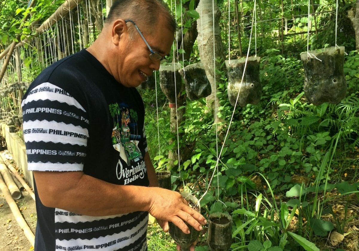 ILO_Ptr.-Joel_Cultivating-his-petchay