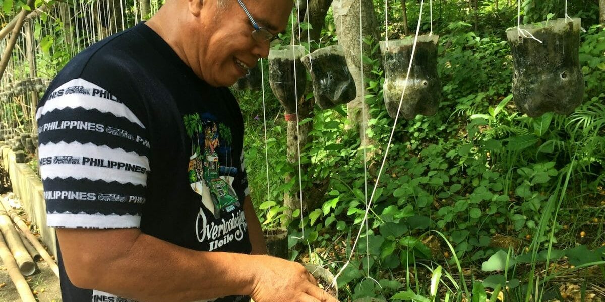 ILO_Ptr.-Joel_Cultivating-his-petchay