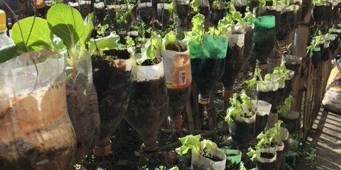 IMG_1932-e1521170754507