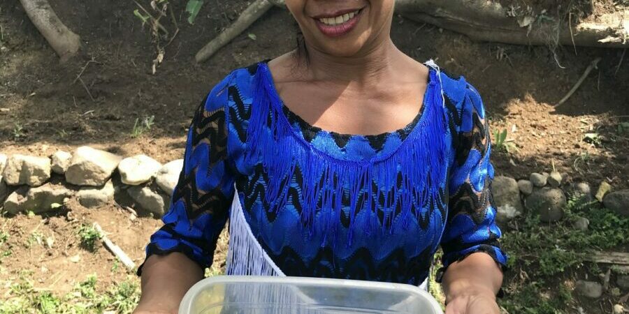 Top-2_Josefa-Mendoza_Business-in-a-box-banana-cake