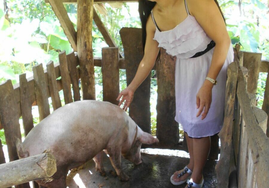 the_three_months_old_5Ahr4-1-scaled-1