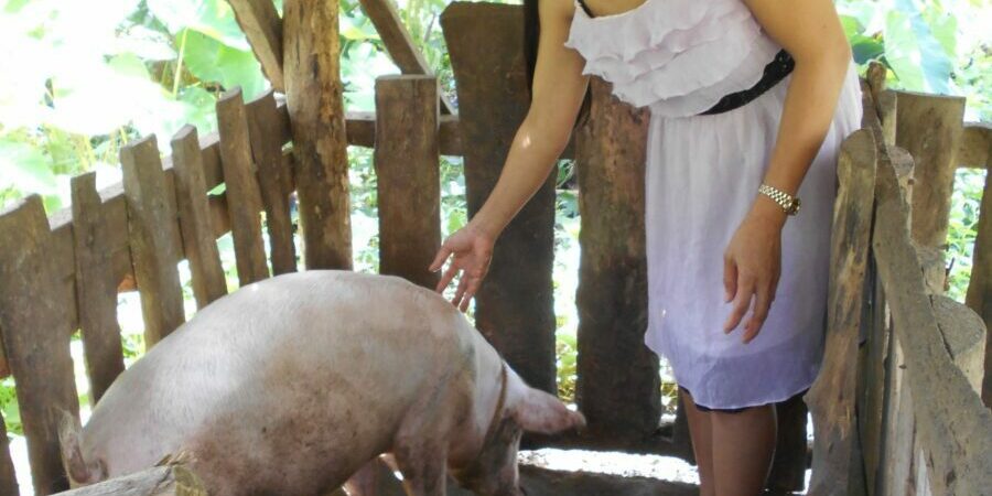 the_three_months_old_5Ahr4-1-scaled-1